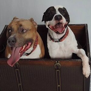 Meet your Posher, Leela